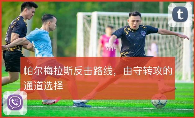 帕尔梅拉斯反击路线，由守转攻的通道选择