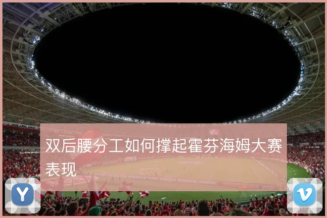 双后腰分工如何撑起霍芬海姆大赛表现